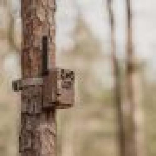 MOULTRIE EDGE 2 CELLULAR TRAIL