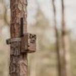 MOULTRIE EDGE 2 CELLULAR TRAIL