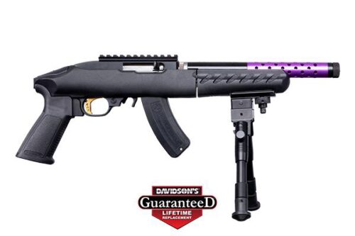 RUG 22 CHGR TD 22LR 15R 10P DE