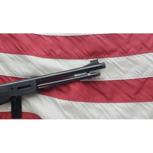 HENRY MODEL X 22LR