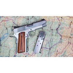 STAINLESS PRO CARRY II