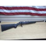 RUGER AMERICAN