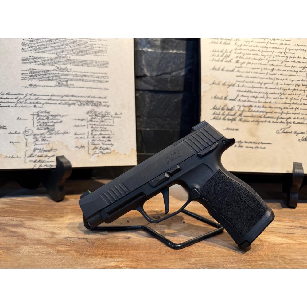 Sig Sauer P365XL with 2 magazines and case.