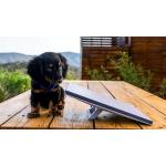 Starlink Mini Terminal