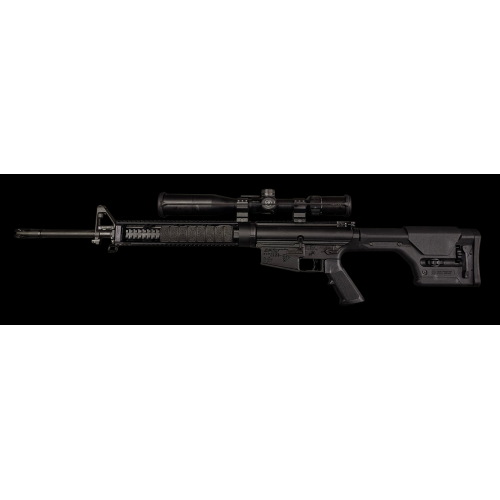 DPMS LR-308
