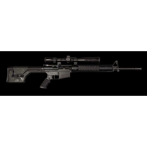 DPMS LR-308