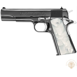 1911 Gov't Classic 45 ACP 5