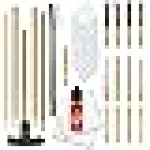 Multi Caliber Pistol Cleaning Kit