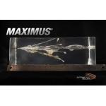 .264/6.5mm 125gr Rifle Maximus FCG - 50ct
