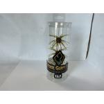 MGB Bass Bomb Murder Oil