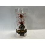 Bass Bomb Assassin Red