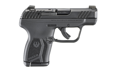 RUGER LCP MAX 380ACP 2.8 10RD NITR-img-2