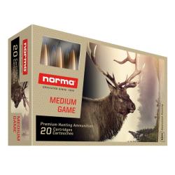 Norma