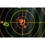 Stainless Membership