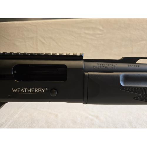 Weatherby SA-459 12 ga. home defense shotty!