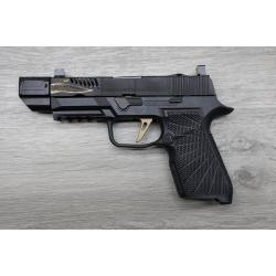 SIG Sauer P320 Compact Custom Build