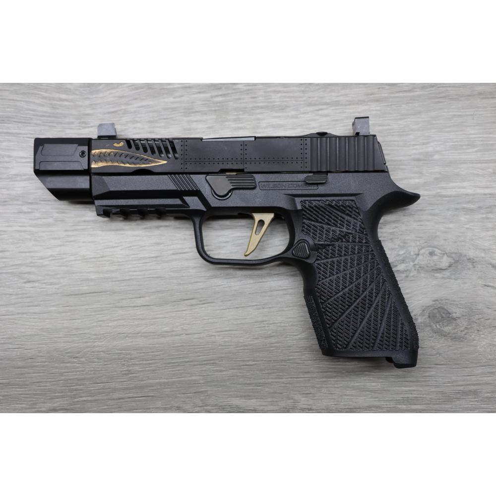 SIG Sauer P320 Compact Custom Build