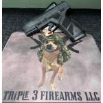 TAU GX2 TORO 9MM PST 10RD BLK