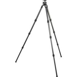 Radian Carbon Carbon Fiber Tripod + Ball Head