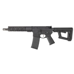 PSA Guardsman-15 10.3