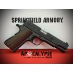 Springfield Armory 1911 Defender .45 ACP Pistol