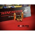 Winchester USA 9mm Full Metal Jacket
1000RDS