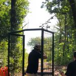 Sporting Clays - Half Round
