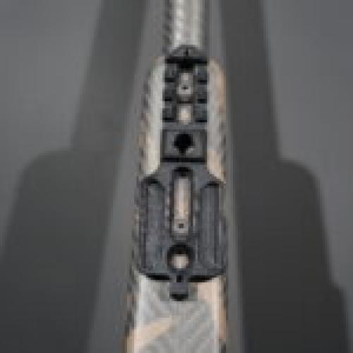 SRS ARCA + PIC M-LOK Rail