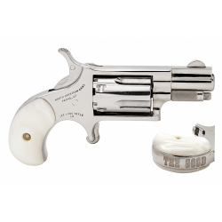 NAM MINI-REV 22LR 1.125SS GOOD