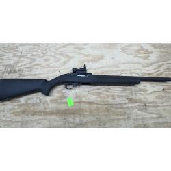 Ruger 10/22 50th Anniversary .22 LR with YHM Integral Suppressor
