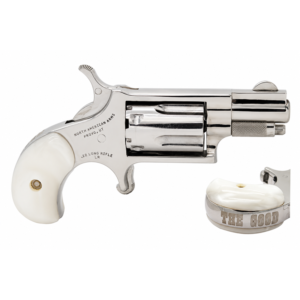 NAM MINI-REV 22LR 1.125SS GOOD