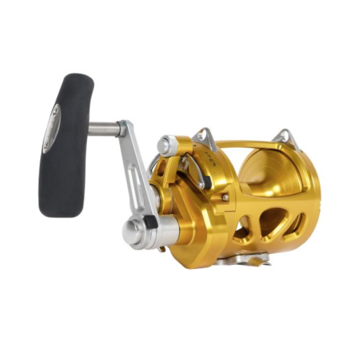 Penn International® VISW 2-Speed Wide Conventional Reel 30