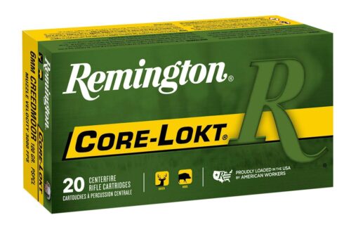 REM 29049 R6CM01   6MMCRD  100 PSPCL         20/10