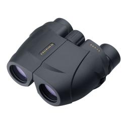 Leupold BX-1 Rogue Compact Binoculars, 10X25mm, Black