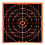 Birchwood Casey Big Burst Revealing Targets Sight-In 12