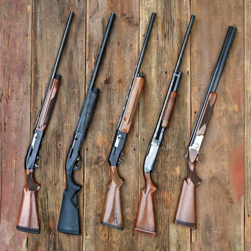 Collection Image