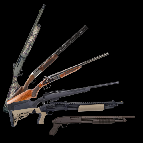 Collection Image
