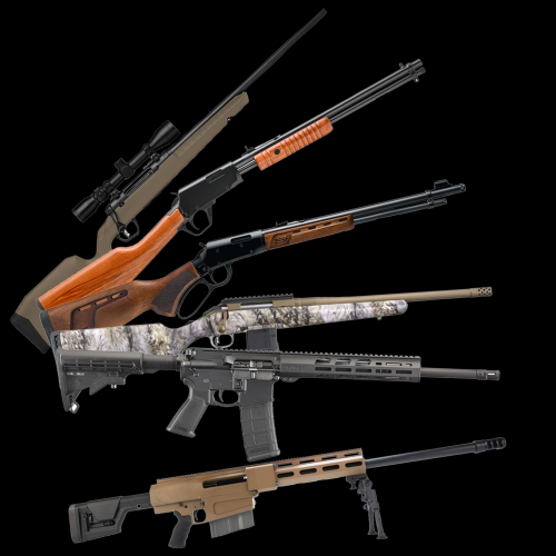 Collection Image