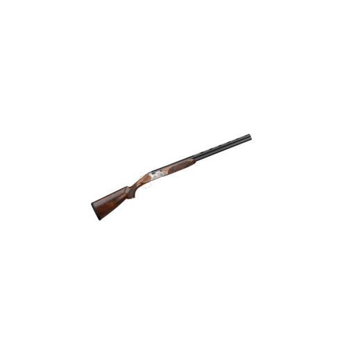 Collection Image