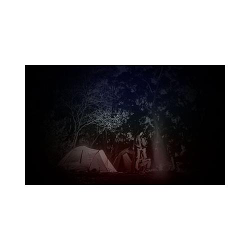 Collection Image