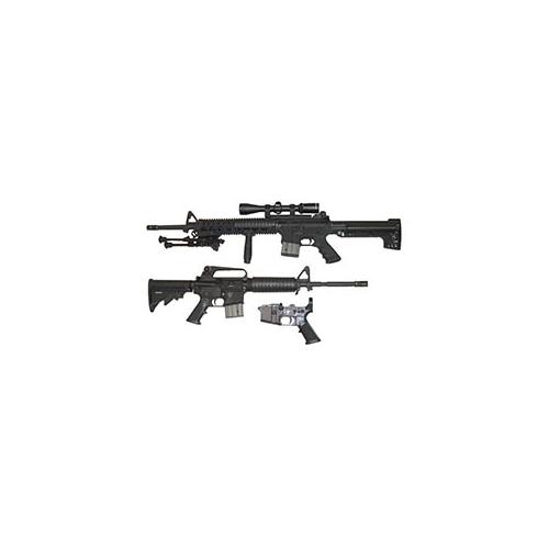Collection Image