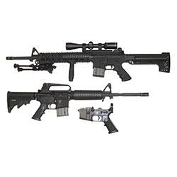 Collection Image
