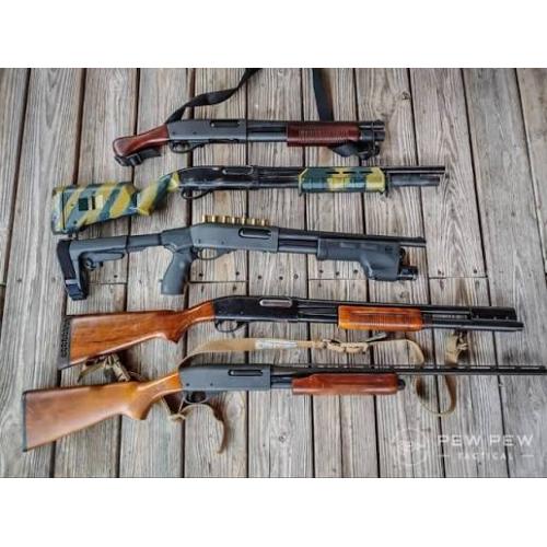 Collection Image
