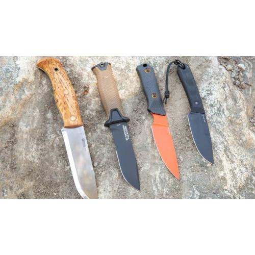 Collection Image