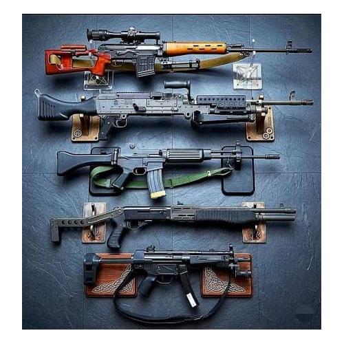 Collection Image